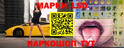 индика Ярославль