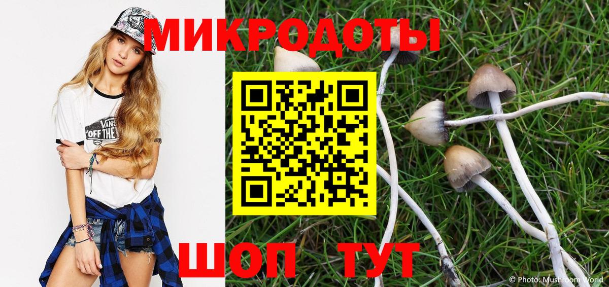 где продают   Вход с VPN  Медногорск  Галлюциногенные грибы Psilocybine cubensis  Галлюциногенные грибы Psilocybine cubensis 